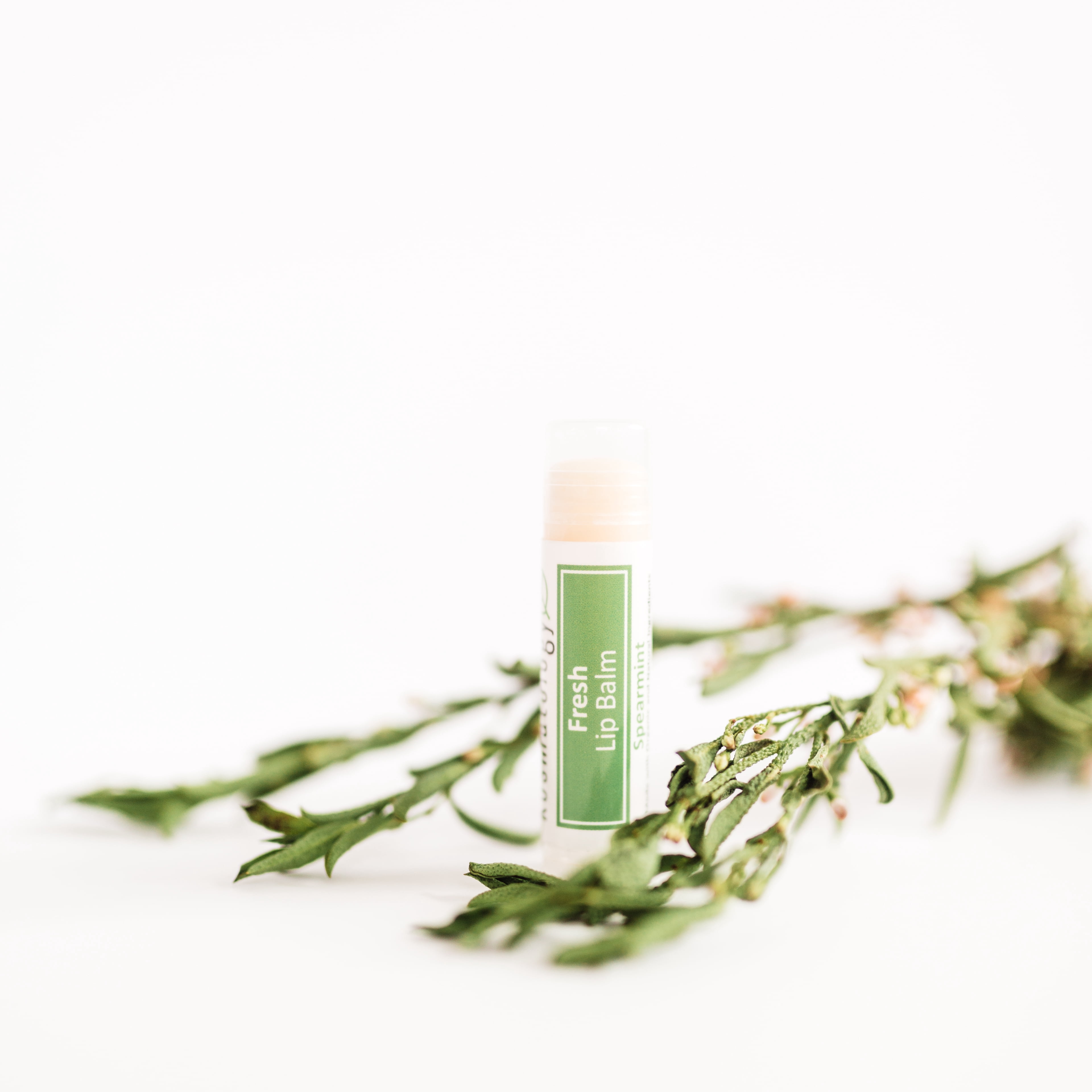 Kosmatology® Organic Spearmint Lip Balm - Fresh 4 Pack | Beeswax Free | Vegan | 100% Natural Moisturizer for Cracked & Dry Lips