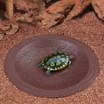 thumbnail image 1 of Turtle Bathing Pool Small for Reptiles & Amphibians - Resin Water Dish & Feeding Bowl with Gentle Slope - Safe for Turtles, Lizards, Frogs, Snakes,Brown, 1 of 6
