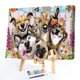 thumbnail image 2 of Sin marco DIY perro gato hogar pintura por números imagen Digital arte pared decoración Tmvgtek decoración de arte en el hogar, 2 of 9