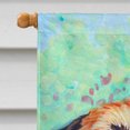 thumbnail image 3 of Carolines Treasures 7228CHF Drapeau 28 x 40 Po Border Terrier Maison Taille Toile, 3 of 4