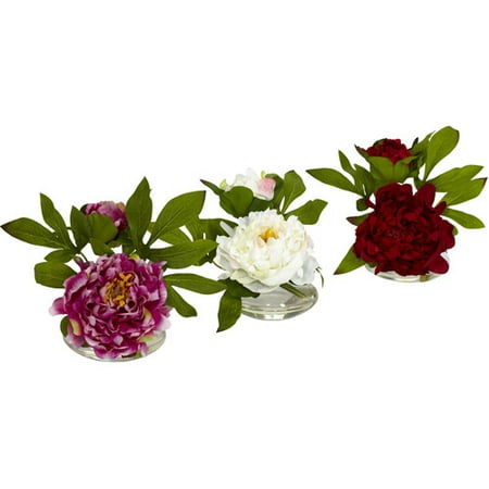 Peonies with Glass Vases, Set of 3