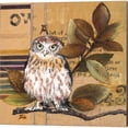 thumbnail image 2 of Great Art Now Little Owls by Patricia Pinto 2 Piece Canvas Art Set Each 14W x 14H, 2 of 3