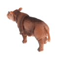 thumbnail image 3 of Justharion Amusant et Éducatif Simulation Animaux Figurines Jouets pour Enfants Rhinocéros 1Set, 3 of 5