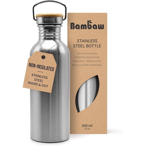 Eco-Friendly Stainless Steel Water Bottle, 500 ml Non-Insulated Sports Bottle, Lightweight and Durable BPA-Free Bottle for Hiking, Gym, School, and Everyday Use