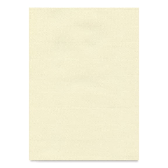 Hahnemühle Ingres Paper - 18-3/4" x 24-3/4", Ivory White, Single Sheet