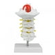 thumbnail image 1 of Dron electrónico con pájaros voladores, Control remoto, pájaro electrónico, ligero, duradero, simulación luminosa, juguete de pájaro para niños Jadeshay A, 1 of 7