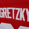 thumbnail image 4 of 1991 Coupe Team Canada Cup 99 Gretzky Chandail de Hockey Rétro, 4 of 4