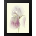 thumbnail image 2 of Stalus, Judy 12x14 Black Modern Framed Museum Art Print Titled - Flowers Aglow I, 2 of 5