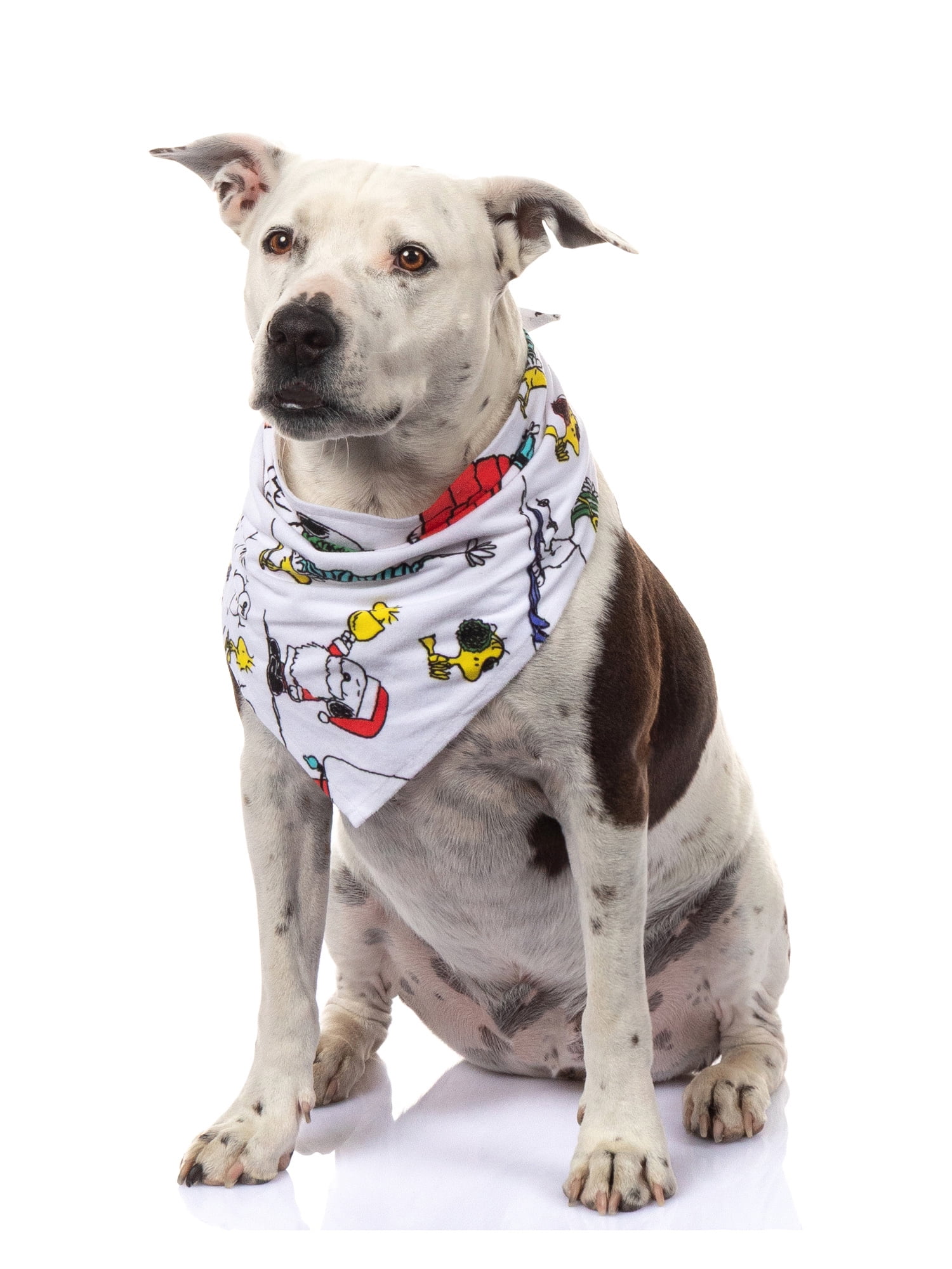 Peanuts Snoopy Pet Matching Family Bandana