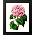 thumbnail image 2 of Unknown 15x18 Black Modern Framed Museum Art Print Titled - Grand Blooms II, 2 of 5