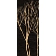 thumbnail image 2 of Greene, Taylor 10x18 Gold Ornate Wood Framed with Double Matting Museum Art Print Titled - TREE SILHOUETTE II, 2 of 4