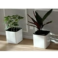 thumbnail image 3 of S SERENABLE 2PCS Self-watering White Plastic Pot Planter for Plants Flowers, with, 3 of 9