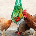 thumbnail image 4 of Chicken Vegetable Hanging Feeder Toy for Hens Pet Birds Fruit Holder with Hooks for Hens Large Bird 4 Pack, 4 of 12