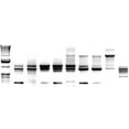 thumbnail image 3 of CafePress - DNA Gel B/W Large Mug - 15 oz Ceramic Large White Nolvety Mug, 3 of 6