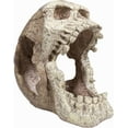 thumbnail image 1 of Penn Plax Reptology Skull Hide-Away Combo Extra Large, 1 of 5