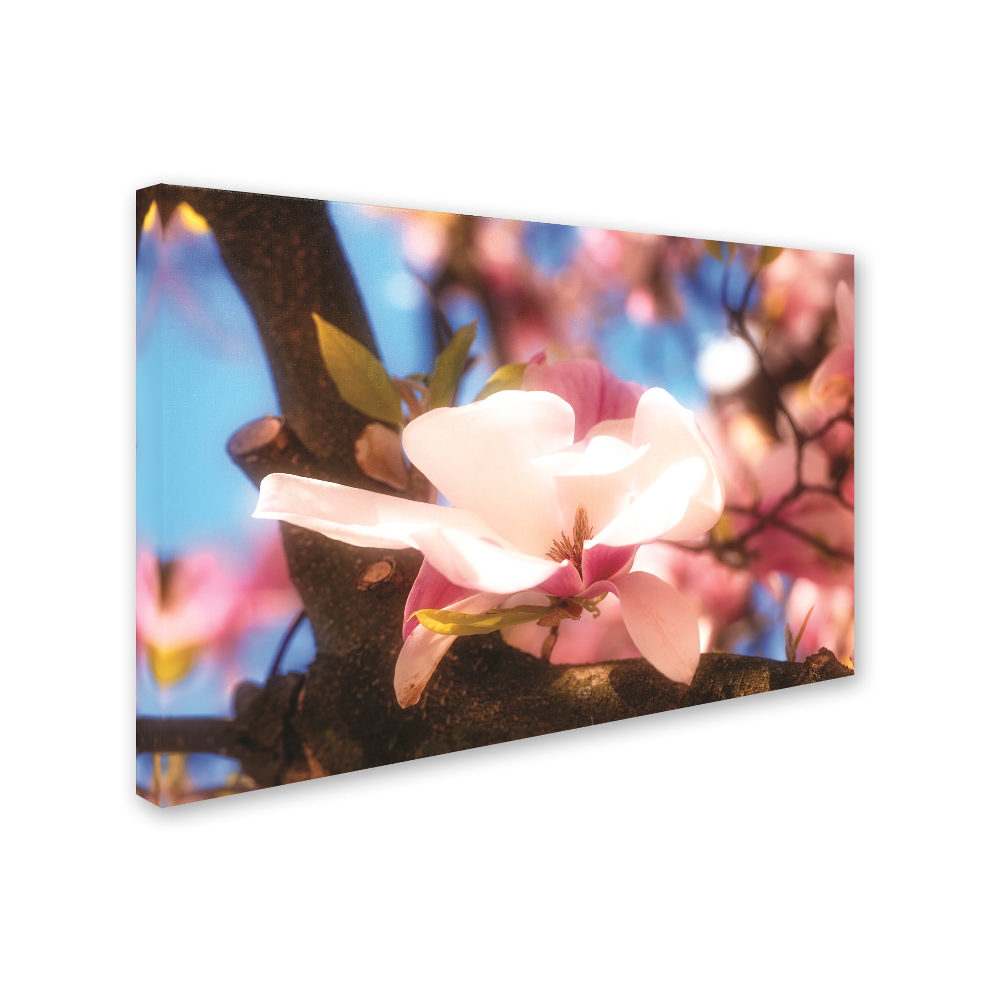 Trademark Fine Art 'Springtime' Canvas Art by Philippe Sainte-Laudy