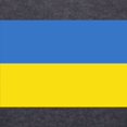 thumbnail image 3 of CafePress - Ukraine Flag Long Sleeve T Shirt - Womens Hooded Shirt, 3 of 3