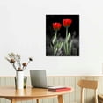 thumbnail image 2 of COMIO Black and White Red Tulips Canvas Wall Art for Living Room Bedroom Bathroom Home Decorations, Tulips Painting Poster Framed Artwork Office Wall Decor Ready to Hang, 2 of 4