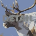 thumbnail image 3 of Kobuk Valley National Park Vintage Travel Poster / Postcard WPA Style Retro Alaska, 3 of 4