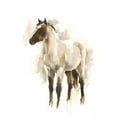 thumbnail image 3 of Harper, Ethan 20x24 Black Modern Framed Museum Art Print Titled - Rustic Horse II, 3 of 5