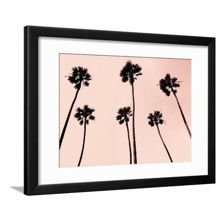 Palm Tree Photo - Palm Trees 1997 Copper Pink Tropical Tree Fine Art Photo Framed Print Wall Art By Erik Asla
