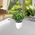 thumbnail image 6 of Automatic Water Absorbing Lazy Flower Pot, Self-Watering Resin Plastic Planter with Reservoir | Indoor Plant Pot for Busy People, Low Maintenance Decorative Pot for Herbs & Succulents, 6 of 9