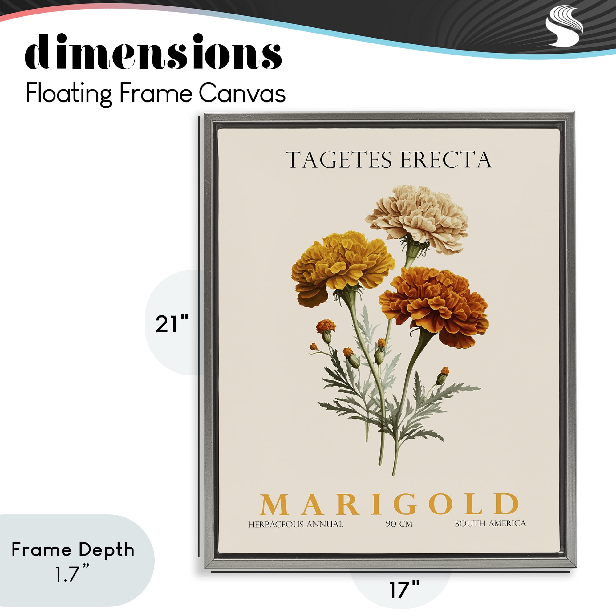 Stupell Industries Natural Marigold Bundle Gray Framed Floater Canvas Wall Art, design by Christopher Giampietro