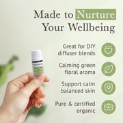 Pranarom USDA Certified Organic Rose Geranium Essential Oil (5ml), 100% Pure Undiluted Therapeutic Grade from Madagascar for Aromatherapy, Diffuser, Skincare, Relaxation, Pure Rose Scent