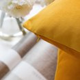 thumbnail image 5 of Phantoscope Soft Silky Velvet Series Decorative Throw Pillow, 20" x 20", Lemon, 1 Pack, 5 of 7