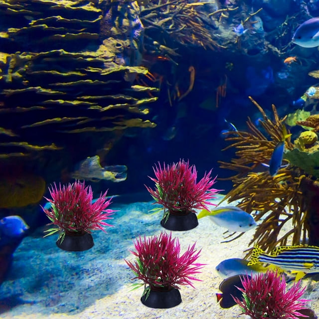EXHUMKY 20Ud Acuáticas Artificiales Para De Acuario Material Duradero