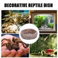 thumbnail image 3 of unbranded Plato De Alimentación De Resina Para Reptiles Con Resistente Y Duradero, 3 of 6
