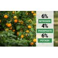 thumbnail image 3 of Professional Citrus Fertilizer + Vital Micronutrients; Perfect Balanced NPK for All Citrus; for Indoor and Outdoor Plants; Orange, Lime, Avocado and Lemon Tree Fertilizer (3 QUARTS), 3 of 8