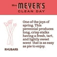 thumbnail image 3 of Mrs. Meyer's Rhubarb Liquid Hand Soap, 12.5 oz (6-Pack), 3 of 6
