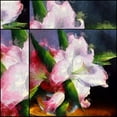 thumbnail image 2 of Bolokofsky, Ronald 15x15 Gold Ornate Wood Framed with Double Matting Museum Art Print Titled - Close Up Lilly, 2 of 4
