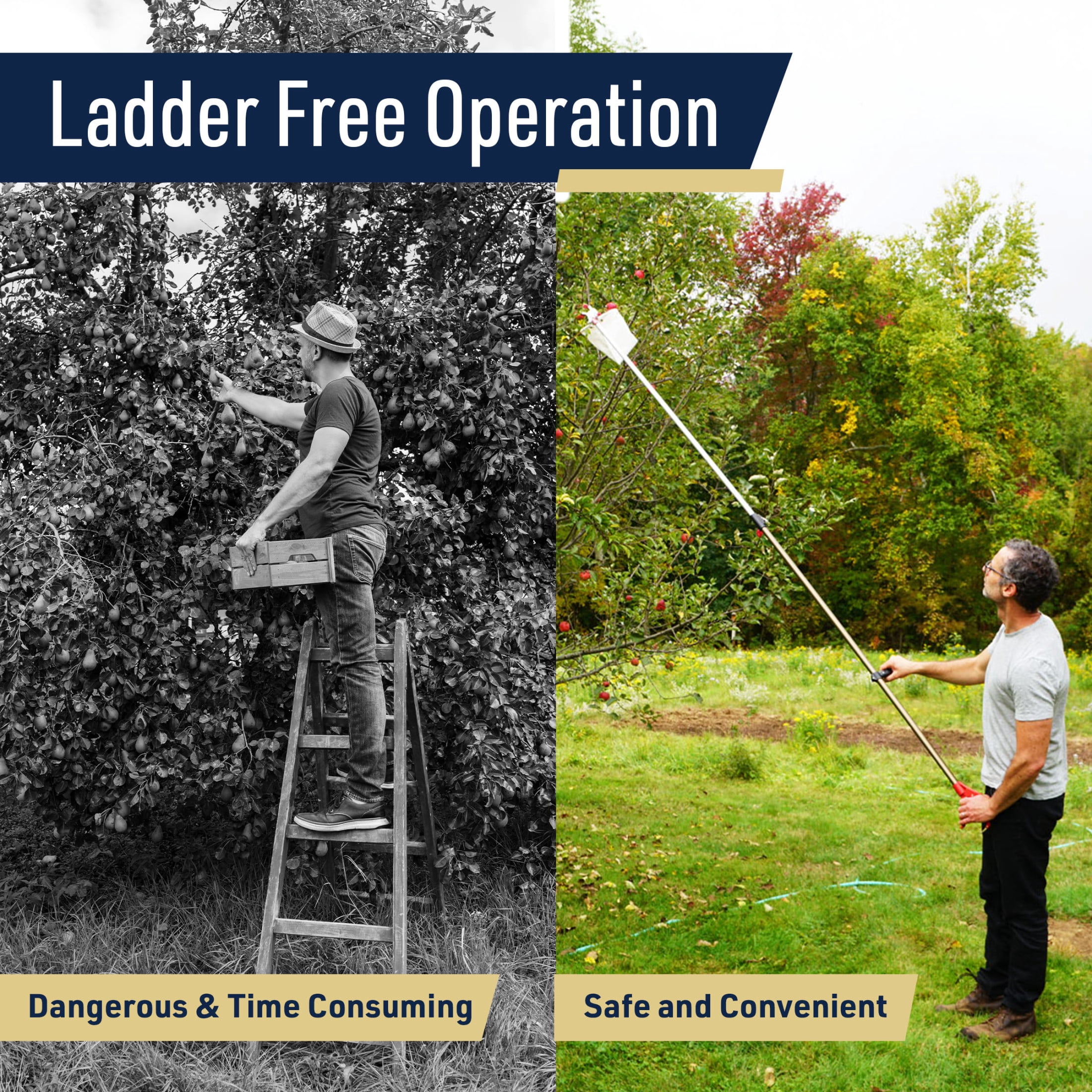 Kings County Tools 10ft Fruit Picker Pole with Basket - Fruit Grabber Reacher Tool with Cutter