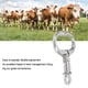 thumbnail image 3 of Alicates DE Alicates DE Nariz DE Ganado, ANILLOS DE Ganado DE Acero Inoxidable AL CLAMP TRACTIVO ANILLOS DE NANOO DE VACA ACCESORY ACCESORY, Tipo DE Primavera Clip, 3 of 7