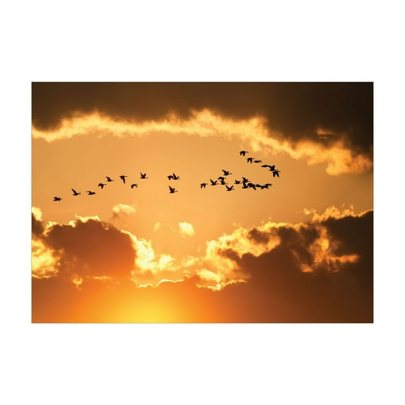 Ambesonne Birds Jigsaw Puzzle, Flyingt Sunset Freedom, Heirloom-Quality Fun Activity for Family Durable Cardboard, 1000 pcs, Brown Yellow