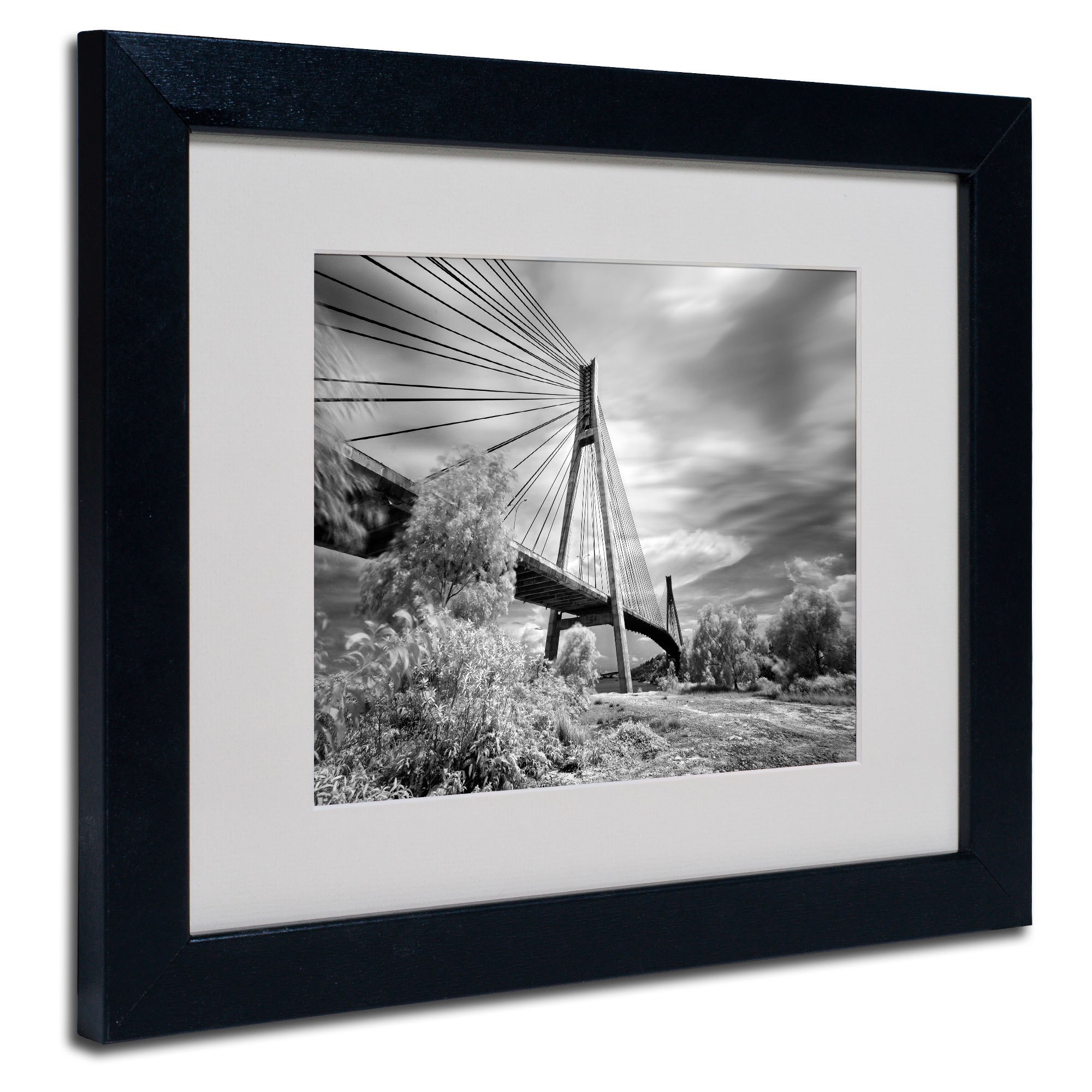 Trademark Fine Art "First Link" Framed Canvas Art by Michael de Guzman
