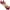 Multicolor, variant on Lisbinx Women Bras 5pc Woman's Comfortable Lace Breathable Bra Underwear No Rims Holiday Deals