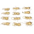 thumbnail image 3 of Mini Insectes en Plastique, 12pcs Mini Simulation Insectes Figurine Jouets Simulation Insectes Modèle Matériaux Respectueux de l'Environnement, 3 of 14