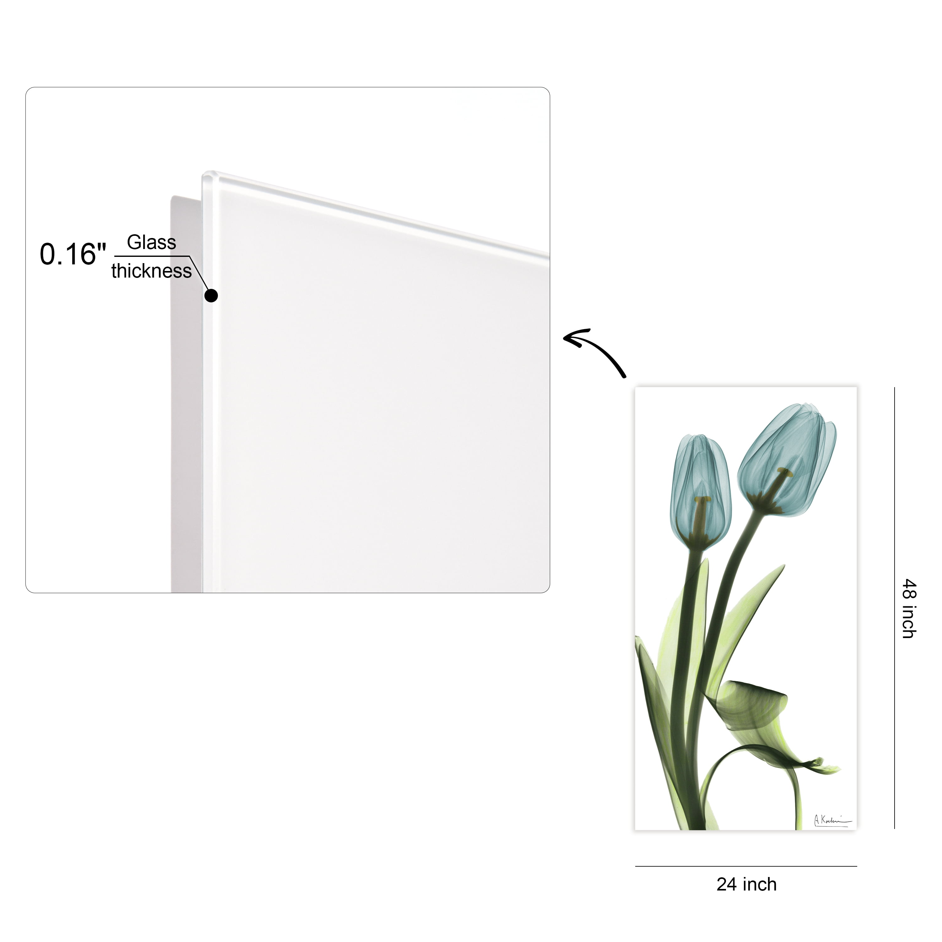 Blue Tulips Frameless Free Floating 24 in x 48 in Painting Art Prints, by Empire Art
