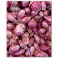 thumbnail image 1 of Picture-Tiles.com: Fruit Ceramic Tile Wall Mural WAL500667-45S. 17"W x 21.25"H using (20) 4.25" x 4.25" Ceramic Tiles-Satin Finish, 1 of 3