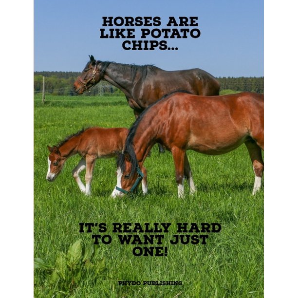 Horses Are Like Potato Chips... (Paperback)