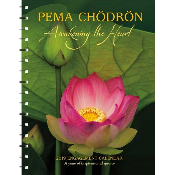 Pema Chodron 2019 Engagement Calendar Awakening the Heart (Other