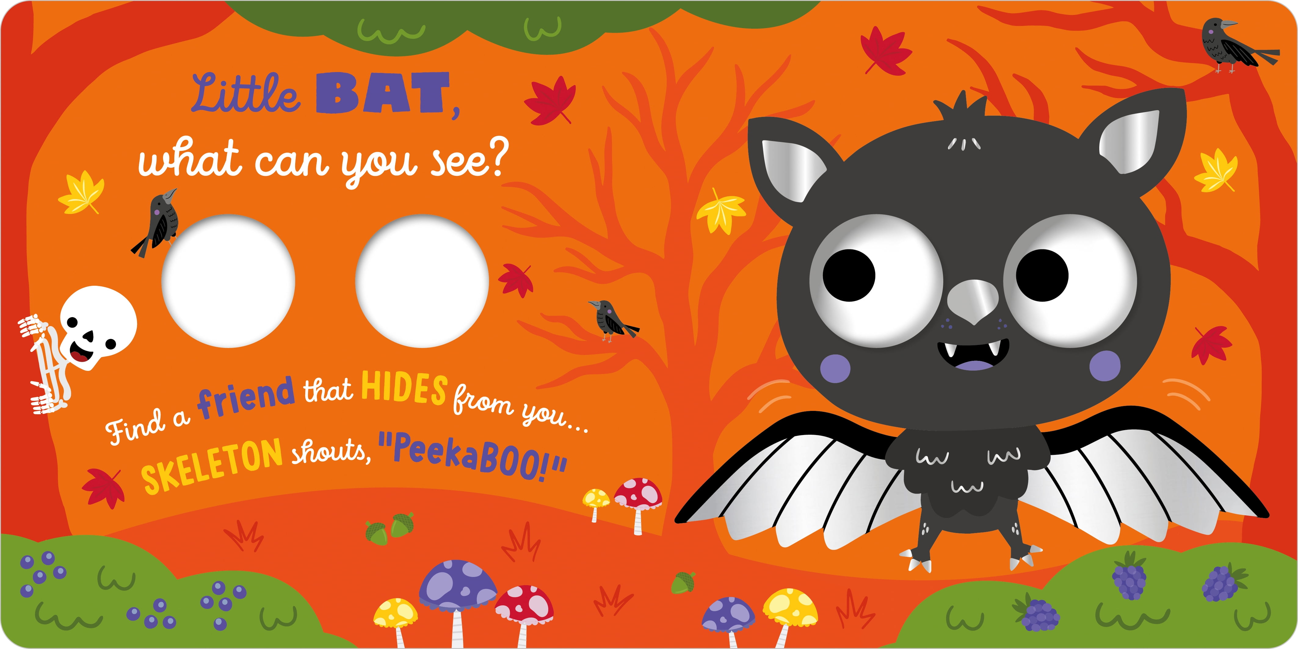 Little Bat What Can You See? (Board Book)