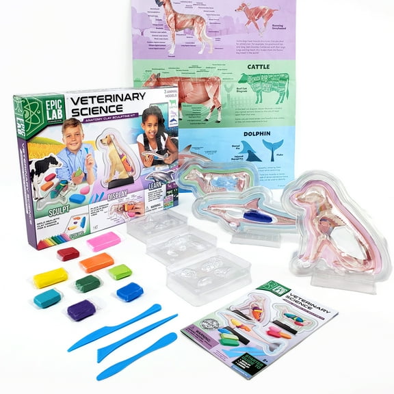 ArtSkills Epic Lab Vet Kit for Kids, Animal Anatomy Science Kit for Kids 8 