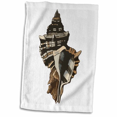 3dRose Black Brown and Tan Striped Conch Shell - Towel  15 by 22-inch