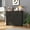 Black, variant on Noble House Farmhouse Double Tilt-Out Trash Cabinet with Drawers, Laundry Sorter Cabinet, Antique White & Brown