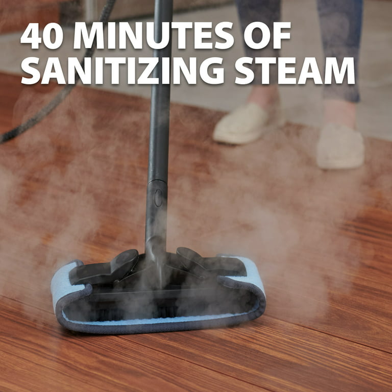 How to Clean Your Oven with a Home Steam Cleaner, Wagner