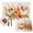 Beige,Orange, variant on Beige Orange Pumpkins Fall Placemats Set of 2, Thanksgiving Harvest Flowers Washable Wipeable Table Mats for Dining Tables, Indoor Outdoor Kitchen Place Mats for Holiday Party Table Decor